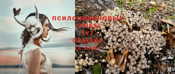 винт Заводоуковск